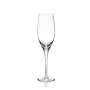 Copa champagne x 6 Blades